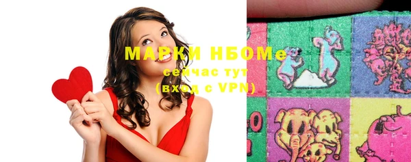 mix Богородицк