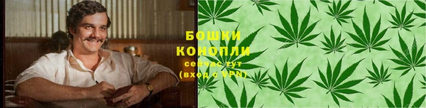 прущий лед Богданович