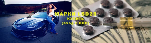 прущие грибы Богородск