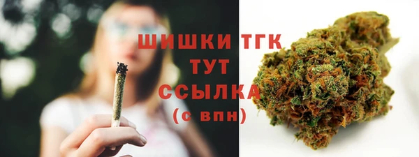 прущий лед Богданович