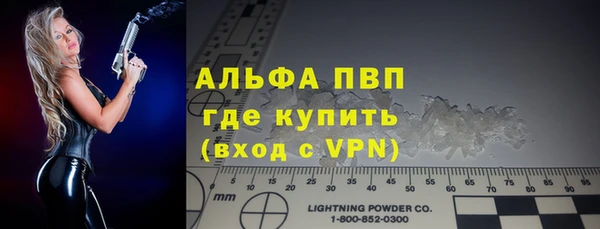 прущий лед Богданович