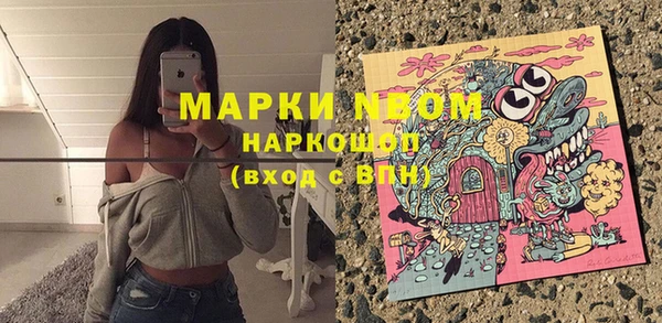 mix Богородицк