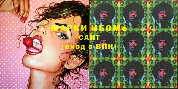прущие грибы Богородск