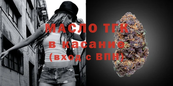 прущий лед Богданович