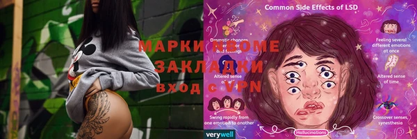 прущие грибы Богородск