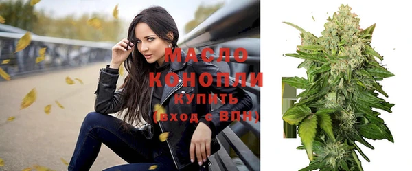 прущий лед Богданович